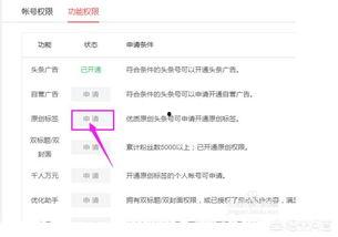 怎么登录每日头条账号,掌握账号登录攻略